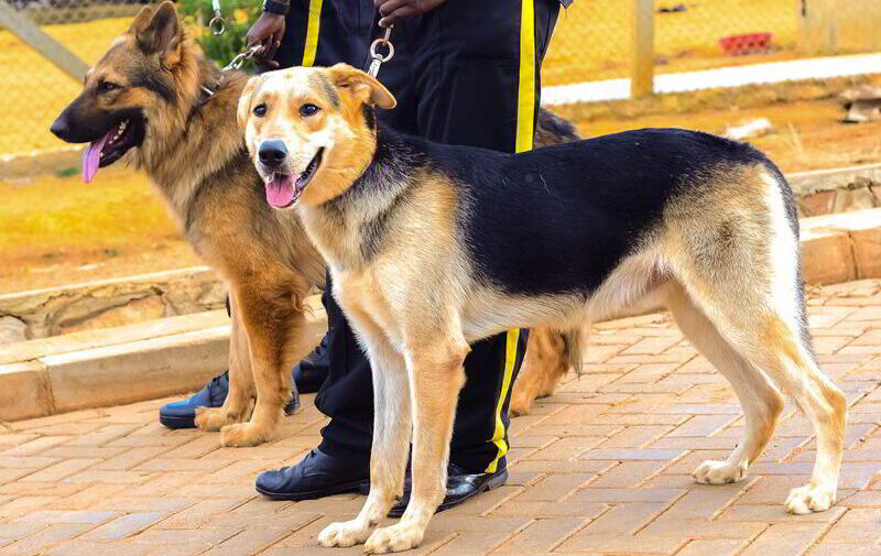 k93